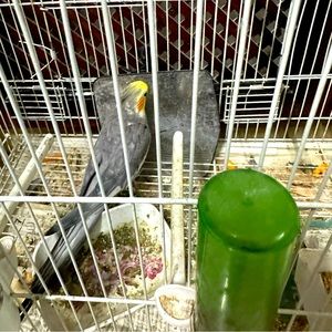 Meet your Posher, Rays